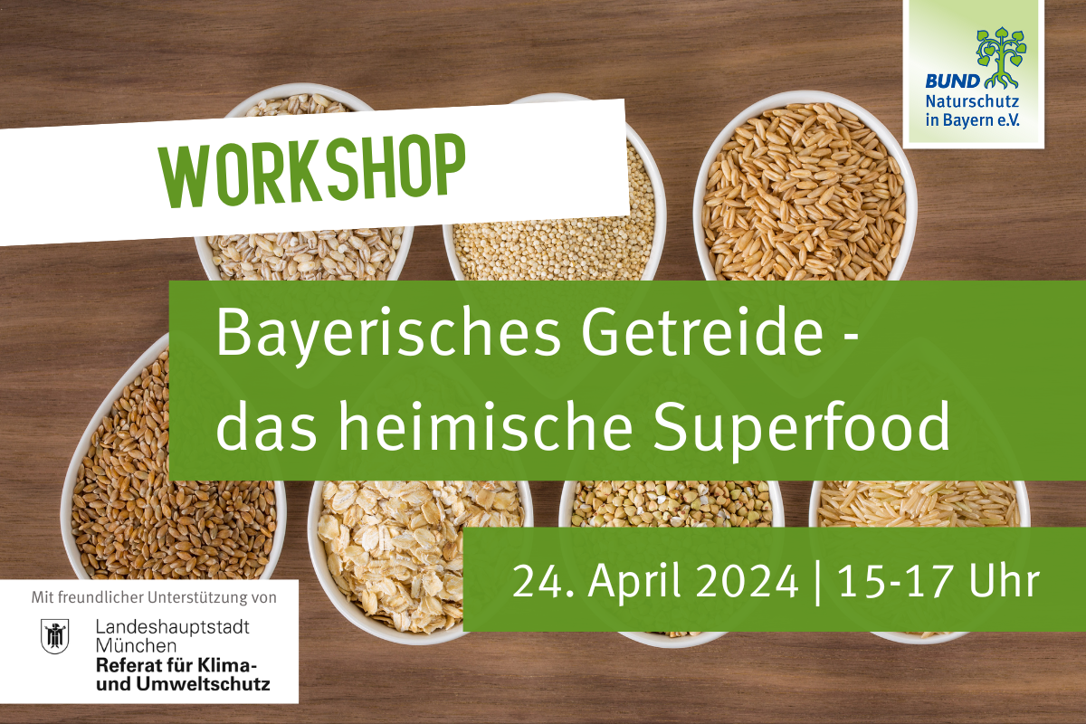 Workshop: Bayerisches Getreide - das heimische Superfood