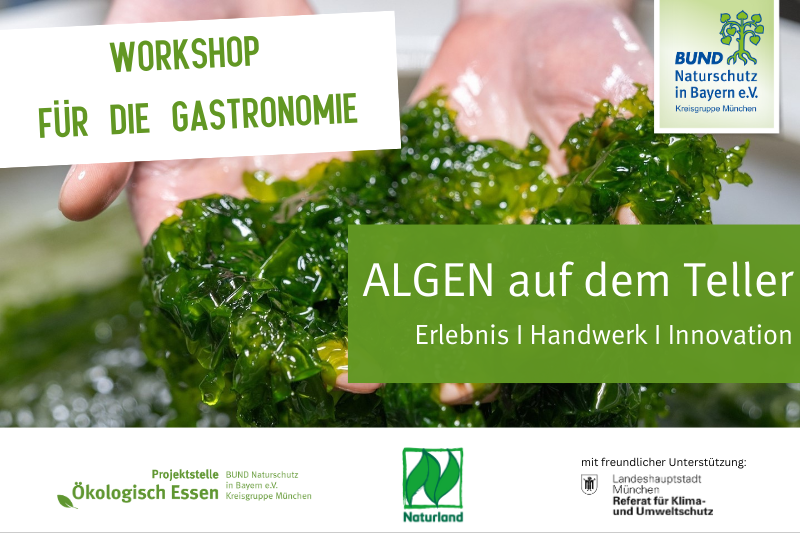 Praxis-Workshop: ALGEN auf dem Teller Erlebnis I Handwerk I Innovation