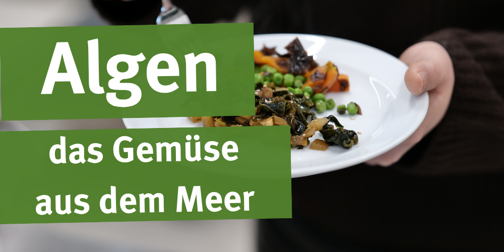 Ein Teller mit verschiedenem Gemüse und geschnittenen, gekochten Algen